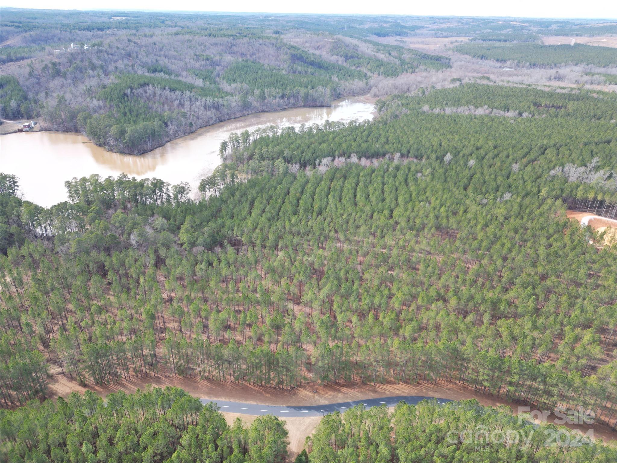 Tbd Tbd Spencer Pointe Road, Unit LOT 20C Lilesville, NC 28091 - Photo 11 of 22 a view of a lush green hillside and a mountain