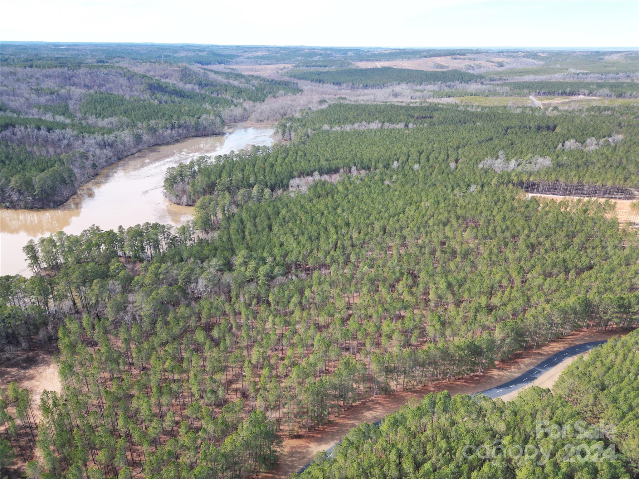 Tbd Tbd Spencer Pointe Road, Unit LOT 20C Lilesville, NC 28091 - Photo 15 of 22 a view of a outdoor space with mountain view