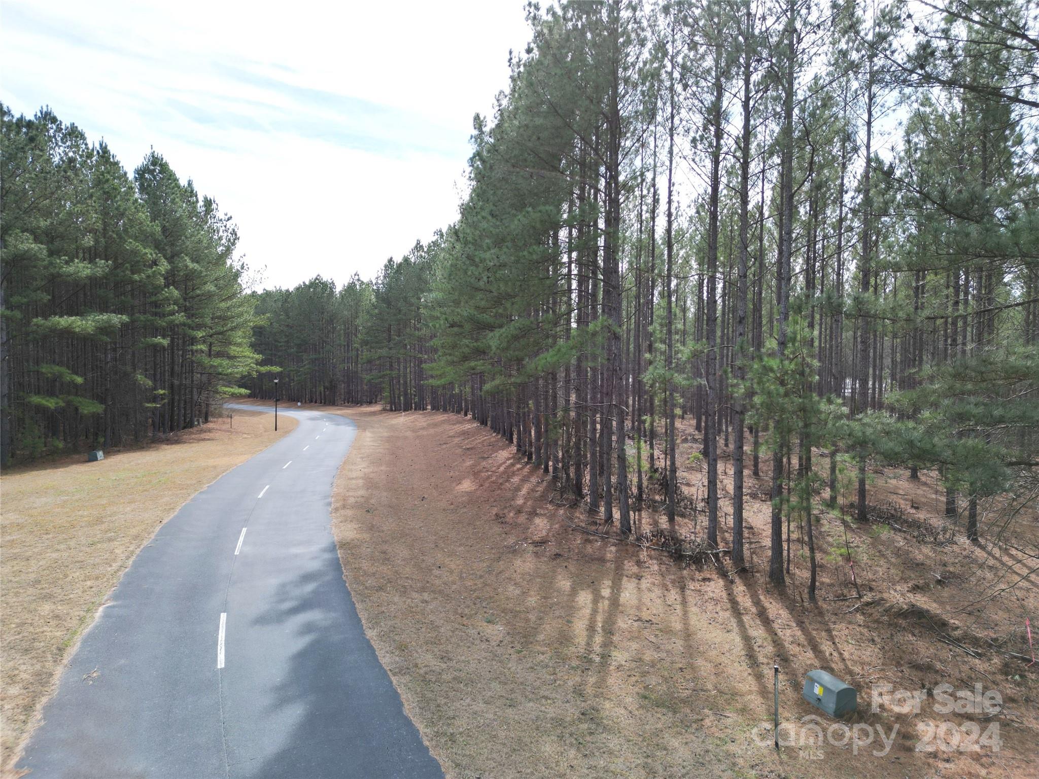 Tbd Tbd Spencer Pointe Road, Unit LOT 20C Lilesville, NC 28091 - Photo 3 of 22 a view of backyard with green space