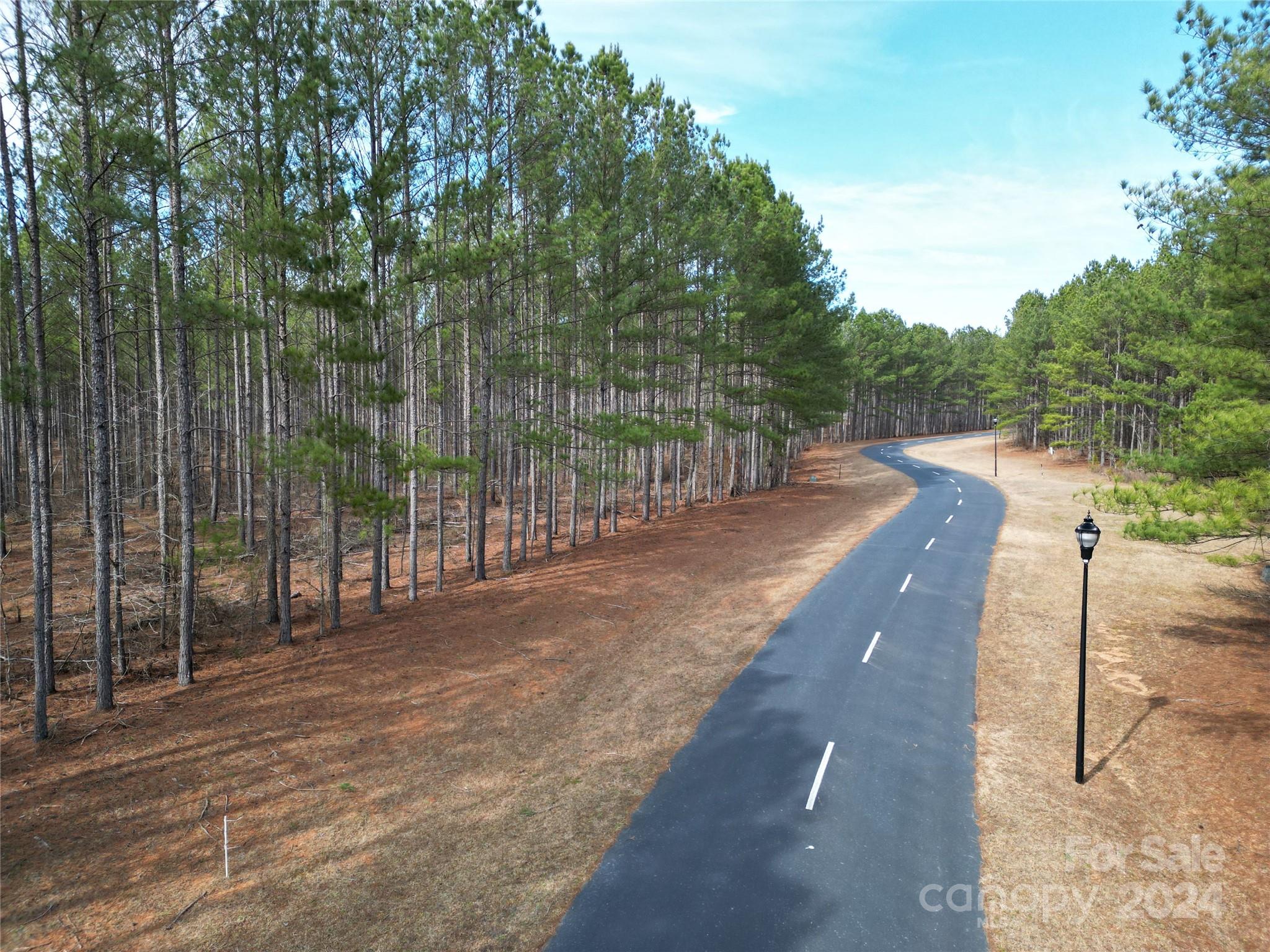 Tbd Tbd Spencer Pointe Road, Unit LOT 20C Lilesville, NC 28091 - Photo 4 of 22 a view of a street with a large trees