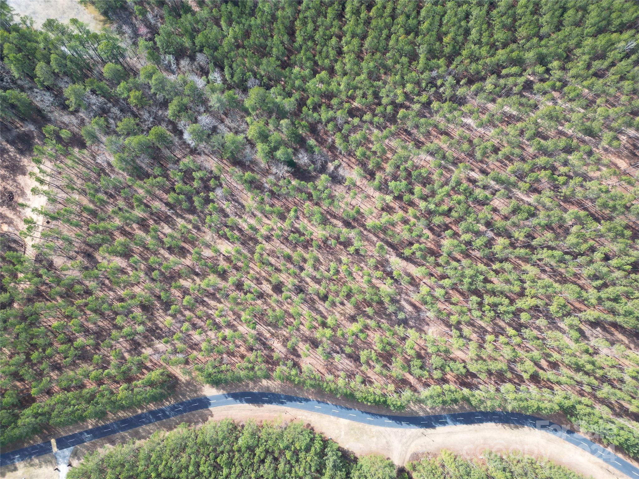 Tbd Tbd Spencer Pointe Road, Unit LOT 20C Lilesville, NC 28091 - Photo 8 of 22 a view of a yard