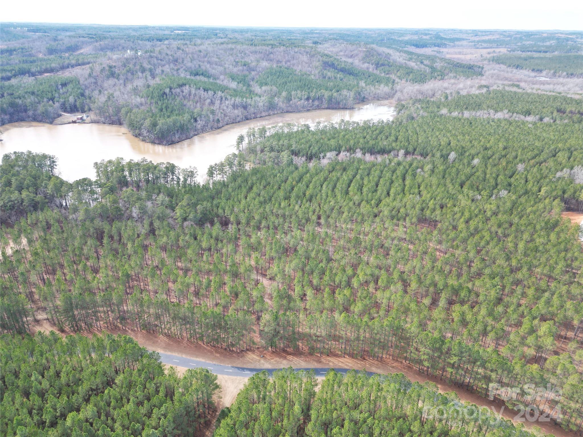 Tbd Tbd Spencer Pointe Road, Unit LOT 20C Lilesville, NC 28091 - Photo 10 of 22 a view of a lush green hillside and a mountain