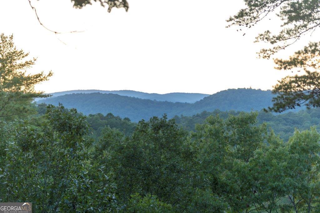 444 Miners Mountain Road Sautee Nacoochee, GA 30571 - Photo 6 of 140