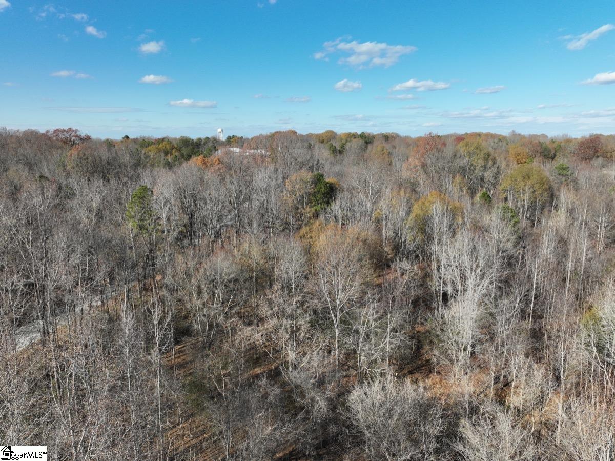 0 Mill Creek Road Blacksburg, SC 29702 - Photo 13 of 36