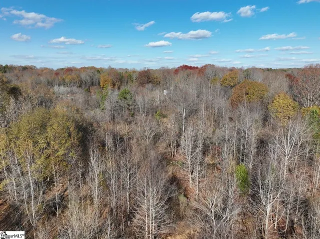 $550,000 | 0 Mill Creek Road, Blacksburg, SC 29702