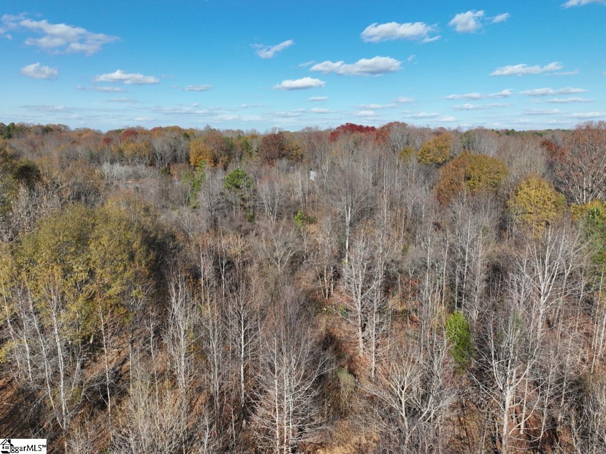0 Mill Creek Road Blacksburg, SC 29702 - Photo 14 of 36