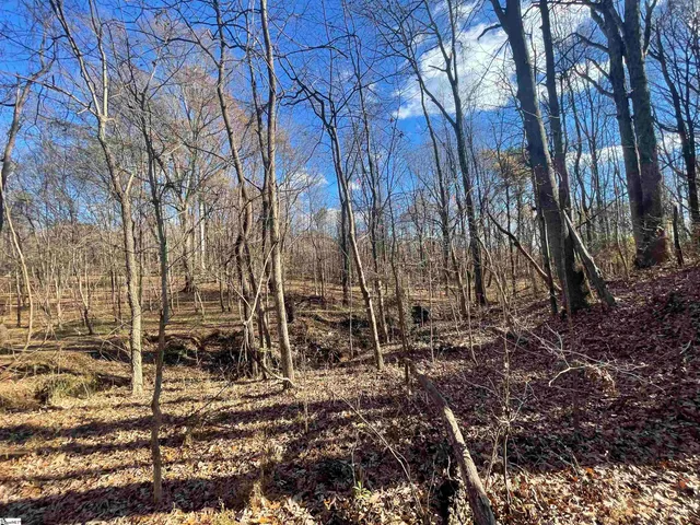 $550,000 | 0 Mill Creek Road, Blacksburg, SC 29702