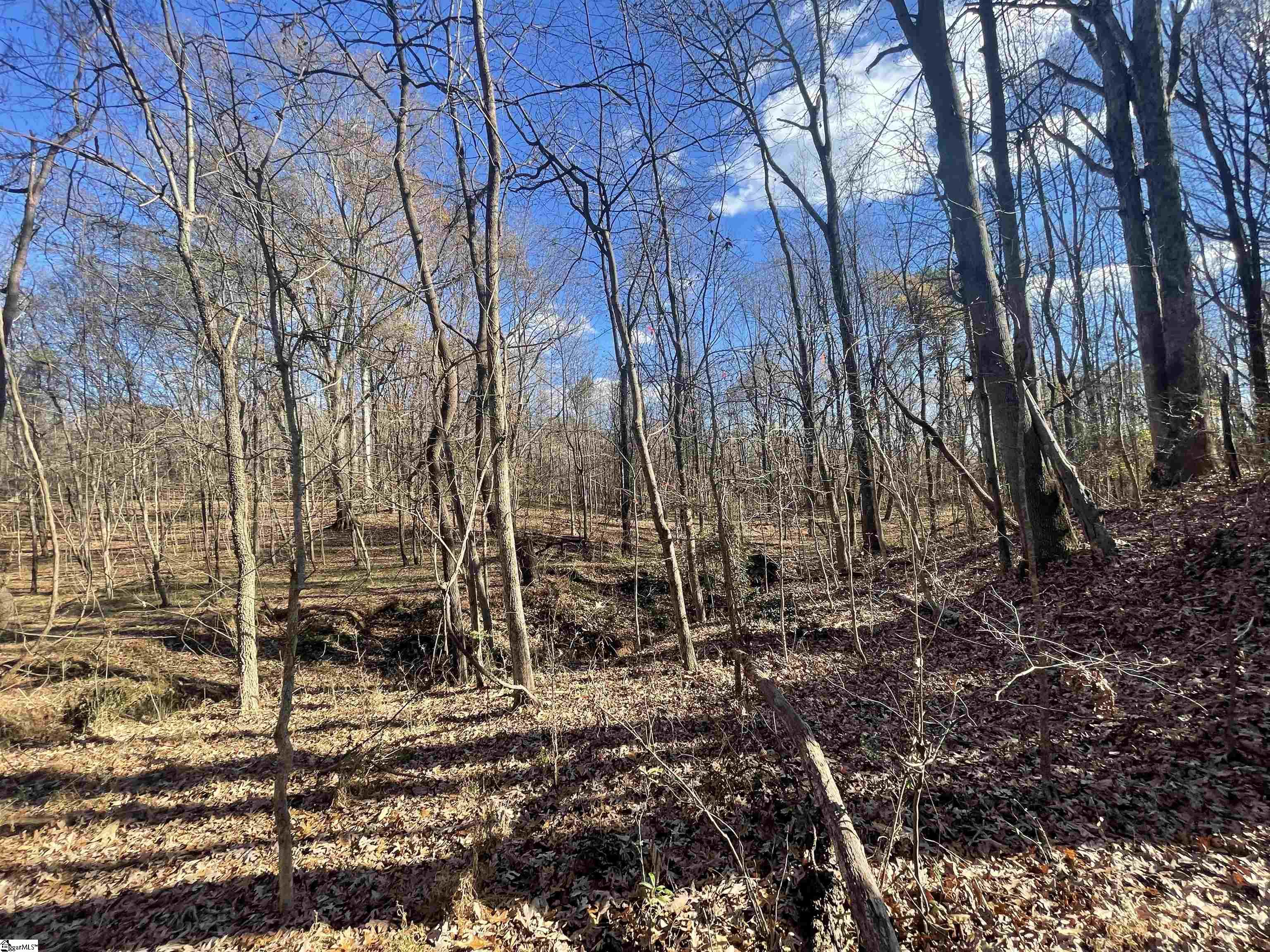 0 Mill Creek Road Blacksburg, SC 29702 - Photo 30 of 36