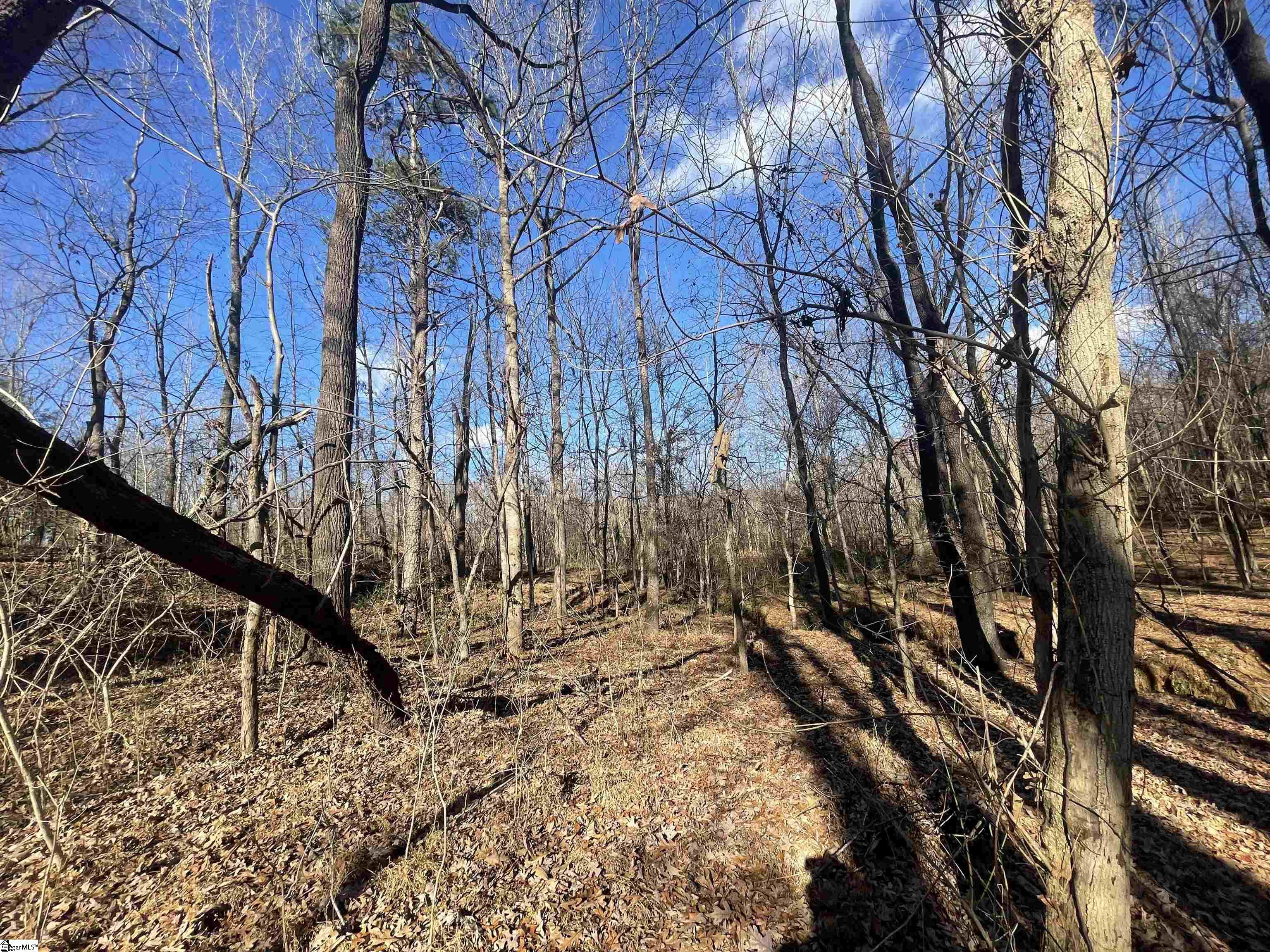 0 Mill Creek Road Blacksburg, SC 29702 - Photo 31 of 36