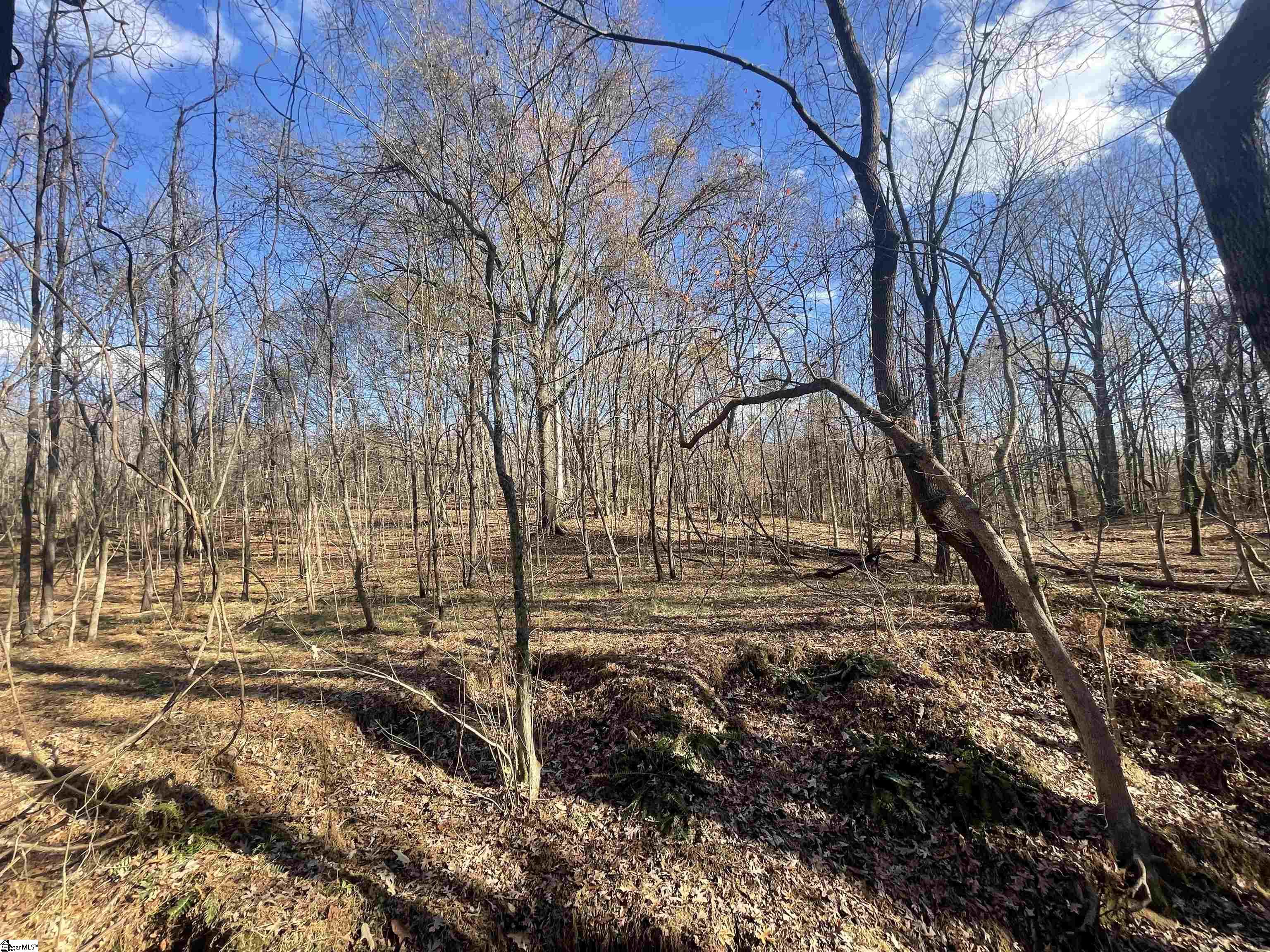 0 Mill Creek Road Blacksburg, SC 29702 - Photo 33 of 36