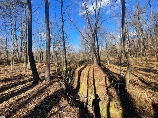 $550,000 | 0 Mill Creek Road, Blacksburg, SC 29702