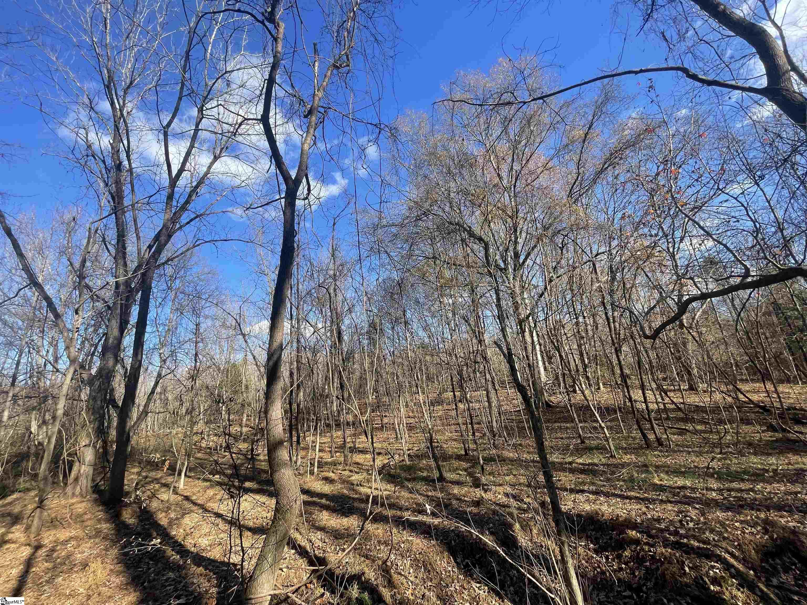0 Mill Creek Road Blacksburg, SC 29702 - Photo 35 of 36