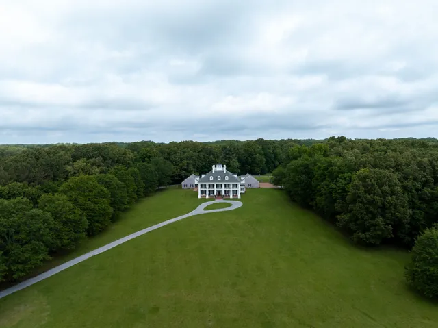 a view of a park with large trees