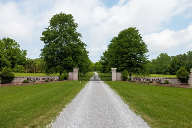 a view of a big house with a big yard and potted plants and large trees