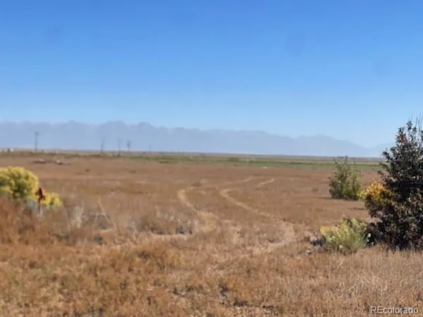 a view of a dry yard with trees