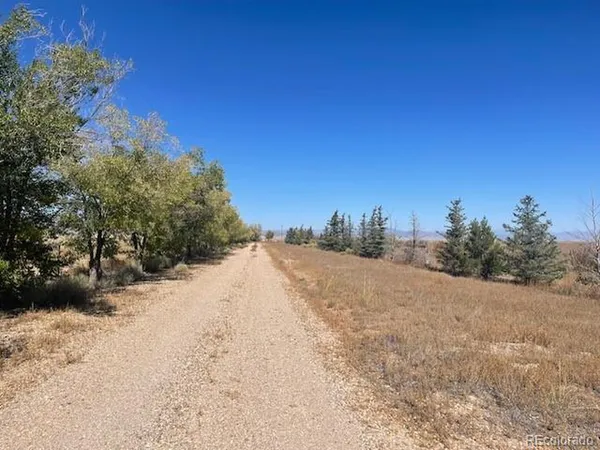 a view of dirt field with trees in background