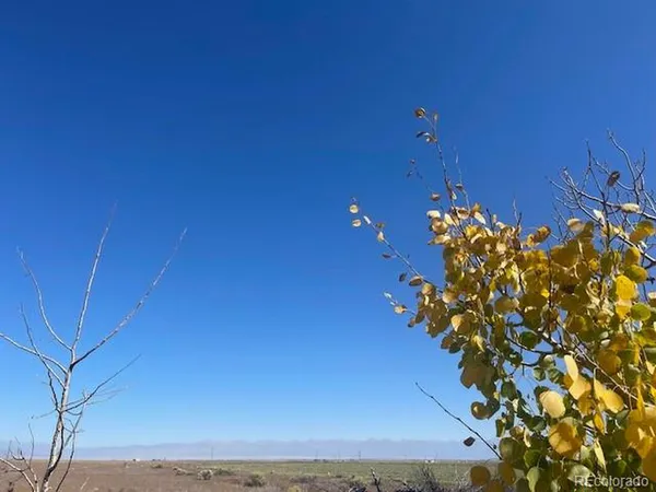 a view of a dirt road with trees in the background