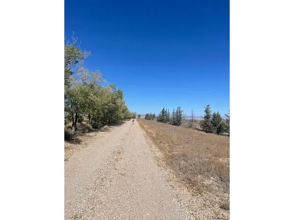 a view of a road from a backyard