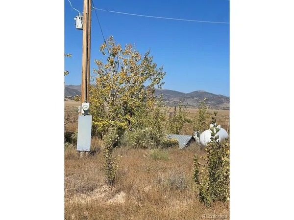 a view of a dry yard with trees in the background