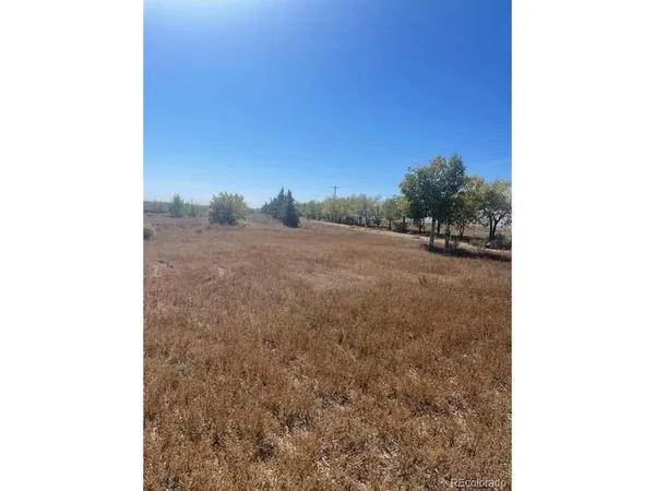 a view of a field with trees in background