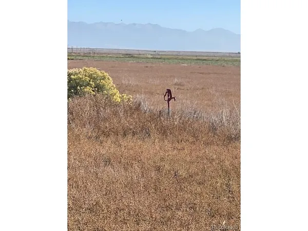 a view of a tree in a yard with a tree