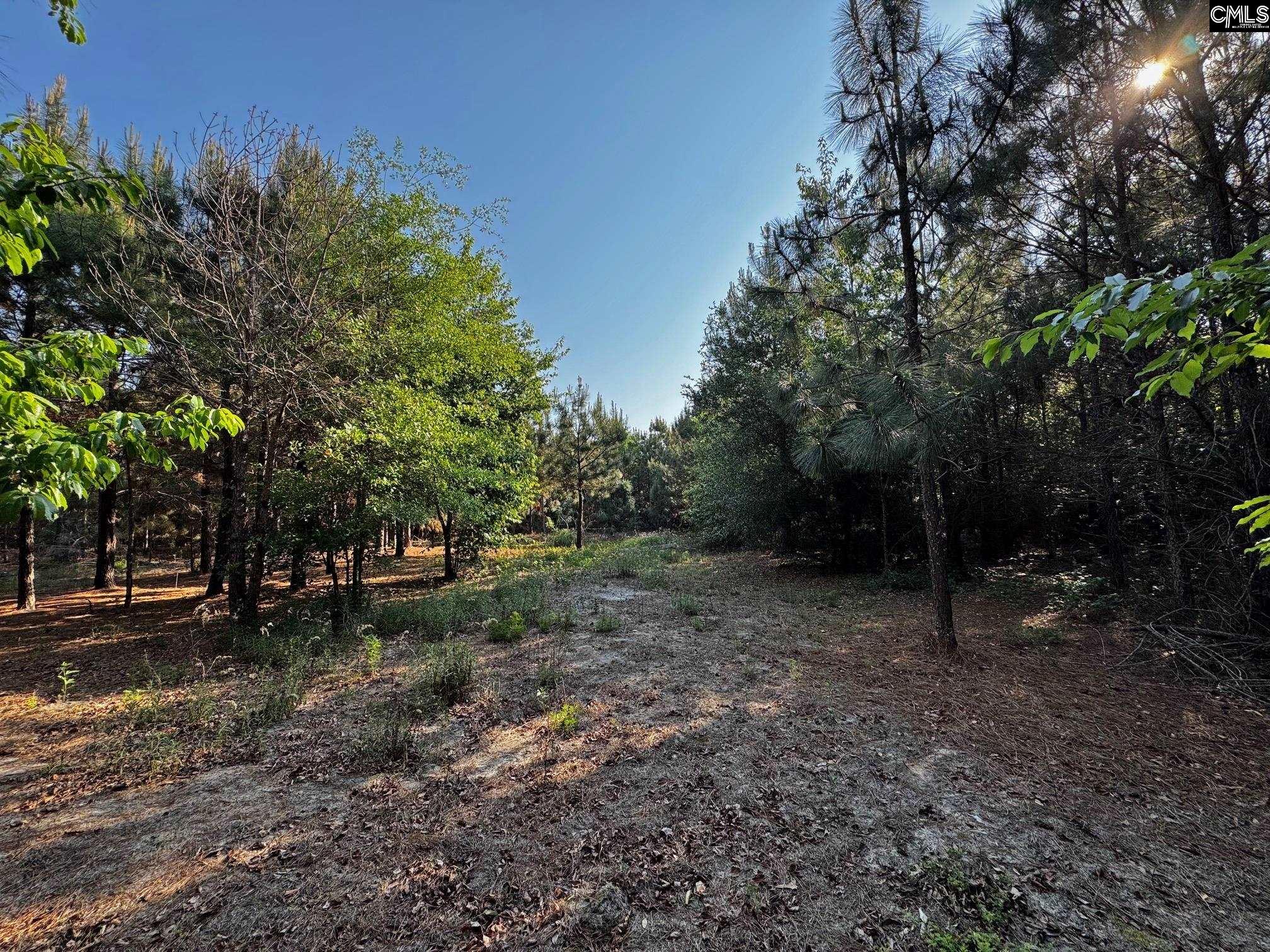247 South Dixie Road Wagener, SC 29164 - Photo 8 of 28