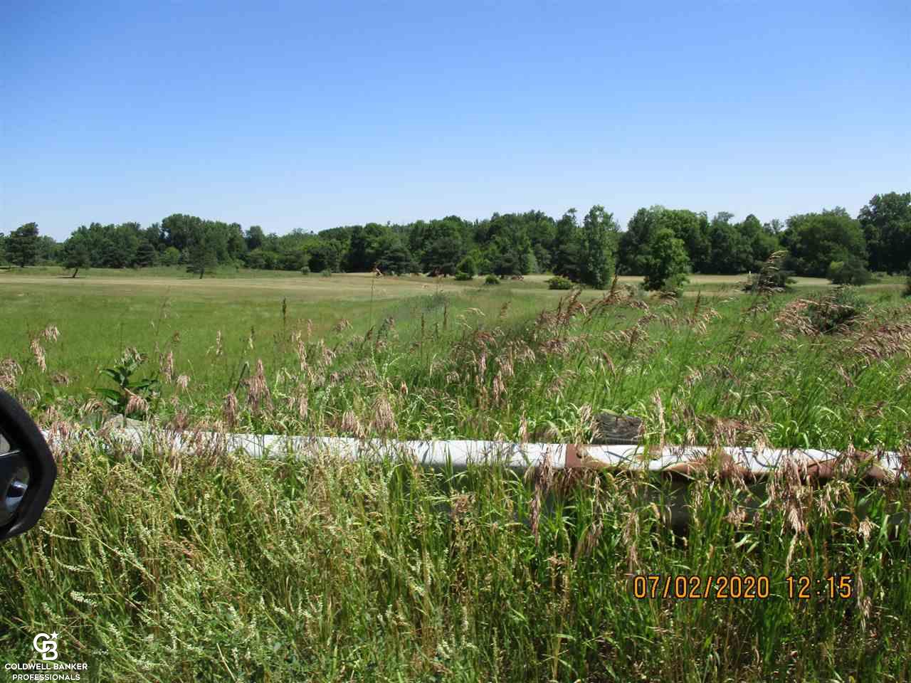 0 Belle River Road Memphis, MI 48041 - Photo 8 of 14