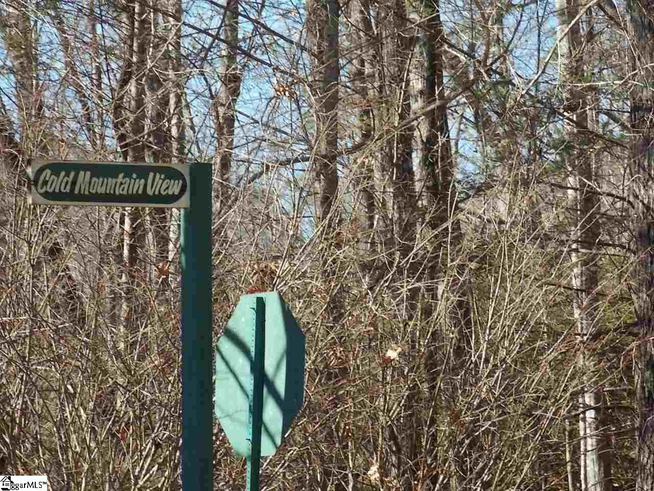 162 Cold Mountain View Cleveland, SC 29635 - Photo 35 of 36