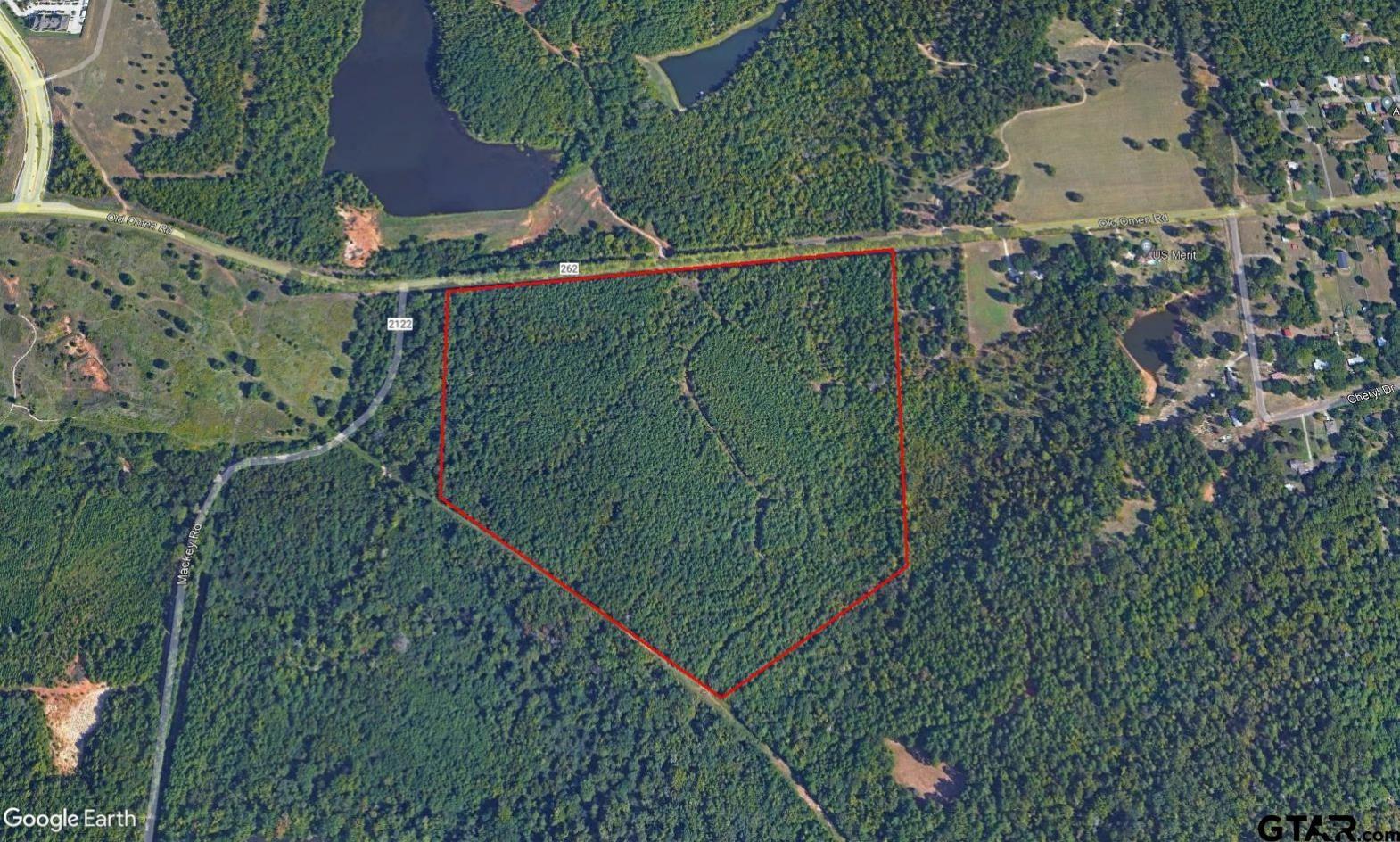 a bird view of a garden