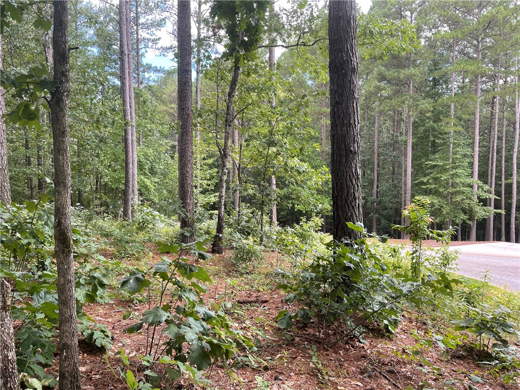 0 Gateview Court Seneca, SC 29672 - Photo 12 of 17 Gallery Image 12
