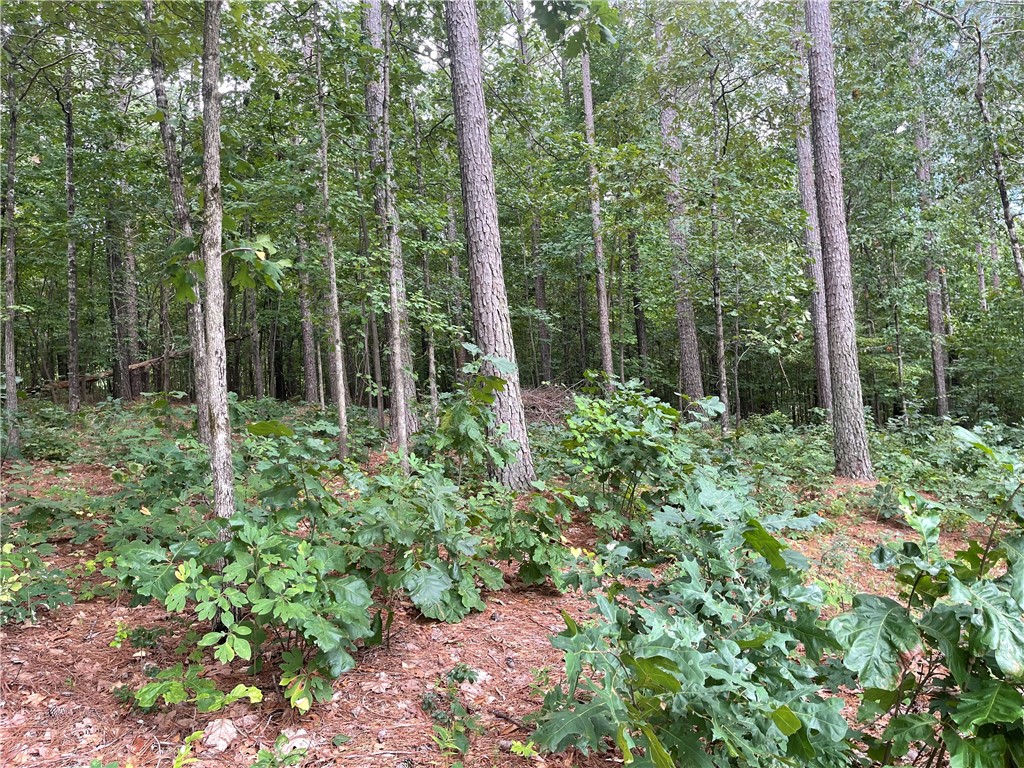 0 Gateview Court Seneca, SC 29672 - Photo 8 of 17 Gallery Image 8