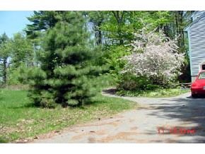 59 Exeter Road Kingston, NH 03848 - Photo 5 of 7