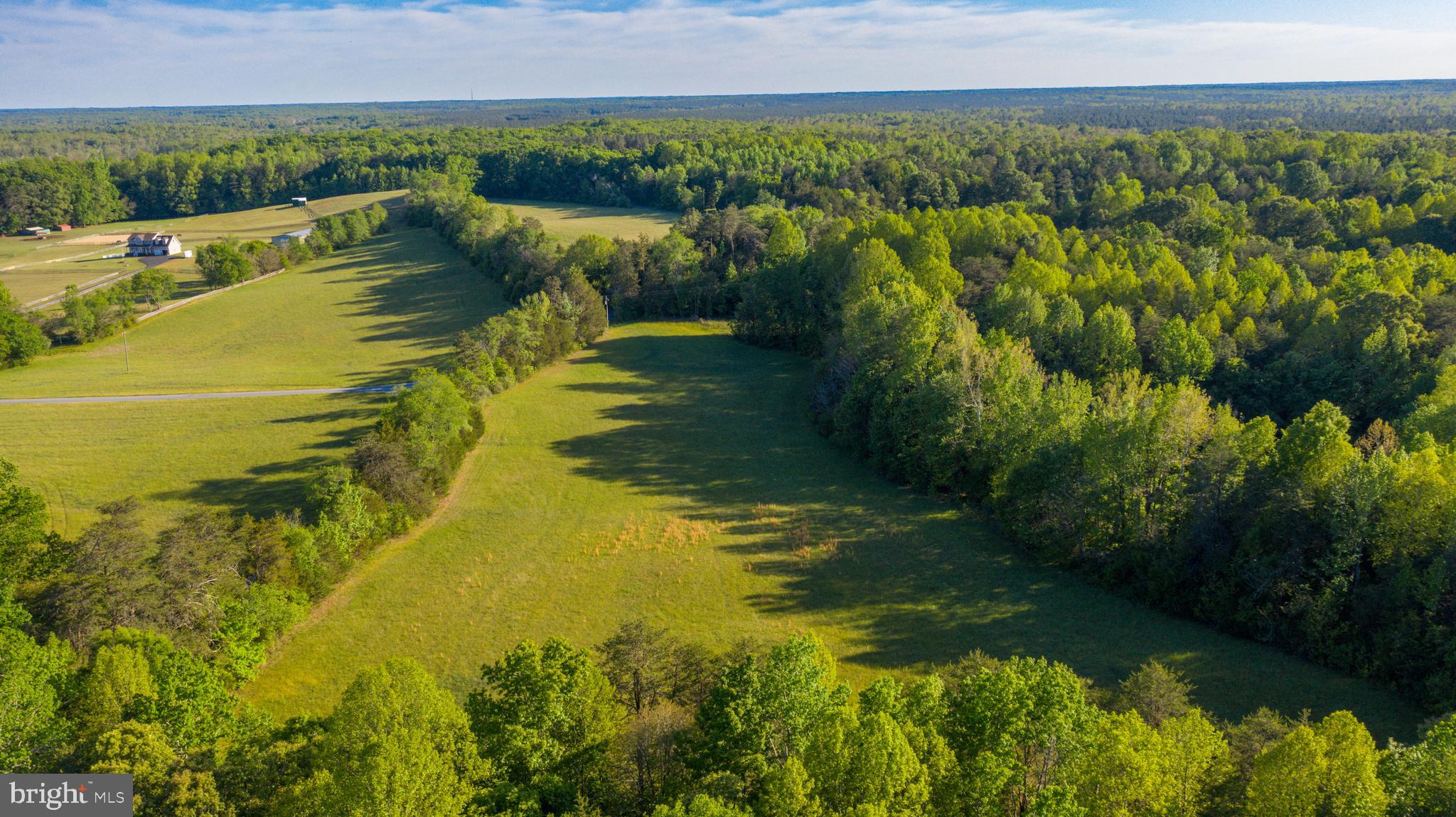 0 Trivette Road Beaverdam, VA 23015 - Photo 11 of 45