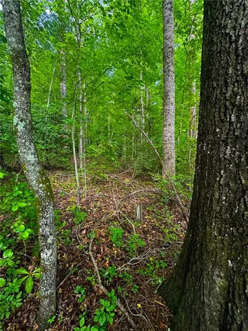 a view of outdoor space and garden