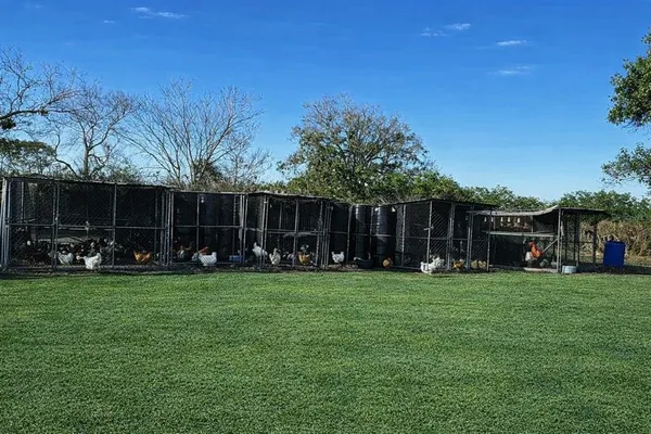 a view of a park that has a fountain in front of house