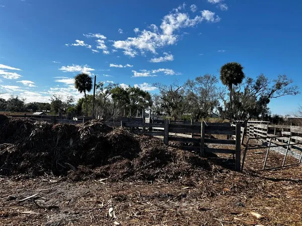 a view of a street with potted plants