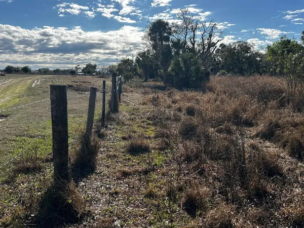 a view of a backyard of the house