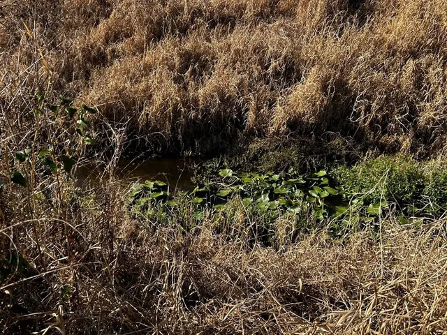 $410,900 | 15080 Northwest 12th Terrace, Okeechobee, FL 34972