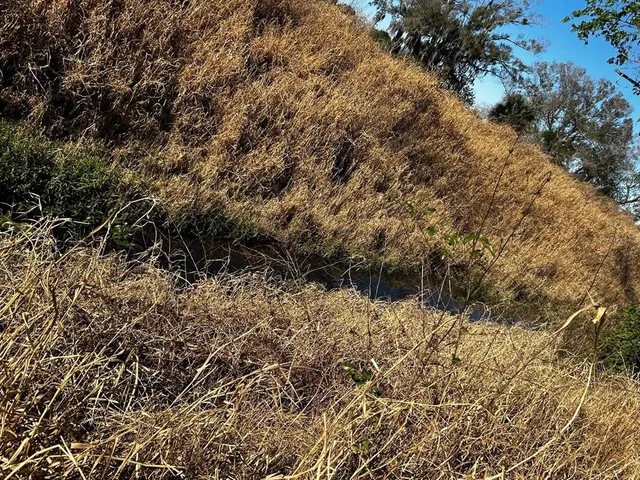 $410,900 | 15080 Northwest 12th Terrace, Okeechobee, FL 34972