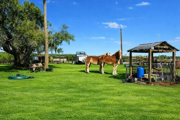 a view of outdoor space with deck and yard