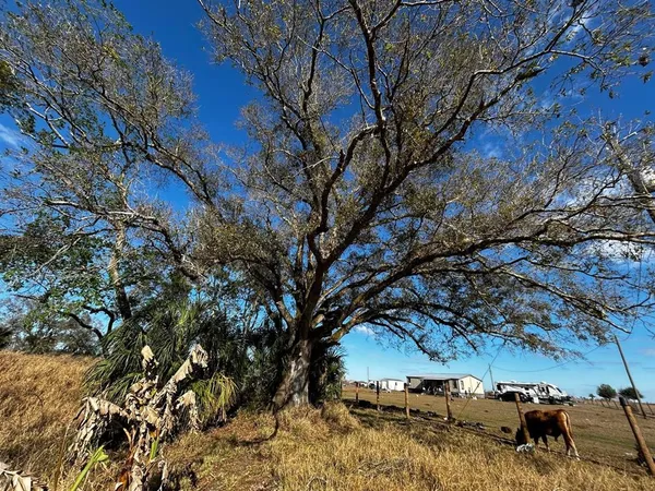 a view of a yard with wooden fence