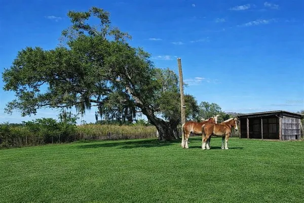 a outdoor view with a sitting space