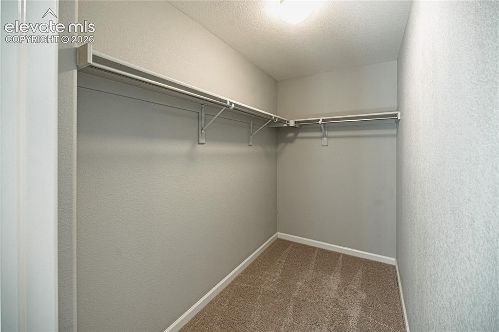 1306 Promontory Bluff View Colorado Springs, CO 80921 - Photo 37 of 39