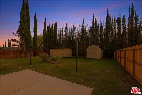 a view of a backyard with large tree