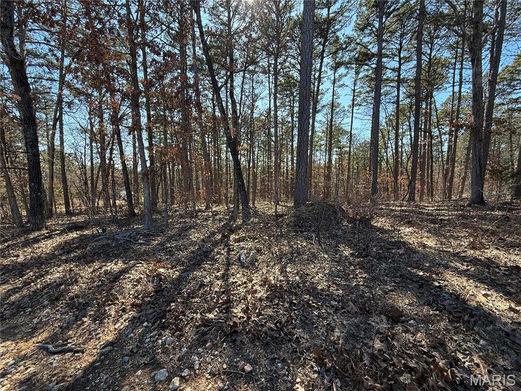 10066 Fish Hook Road Potosi, MO 63664 - Photo 1 of 12