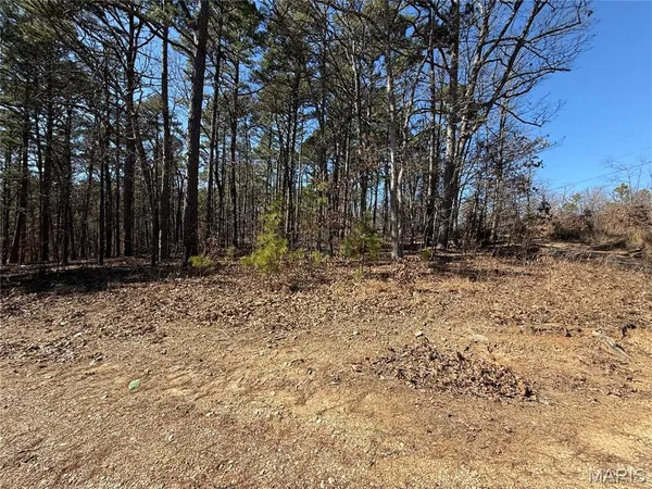 $18,500 | 10066 Fish Hook Road, Potosi, MO 63664