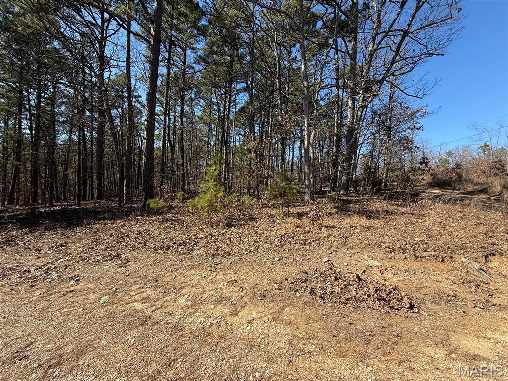 10066 Fish Hook Road Potosi, MO 63664 - Photo 2 of 12