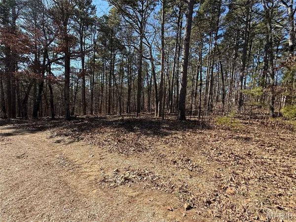 $18,500 | 10066 Fish Hook Road, Potosi, MO 63664