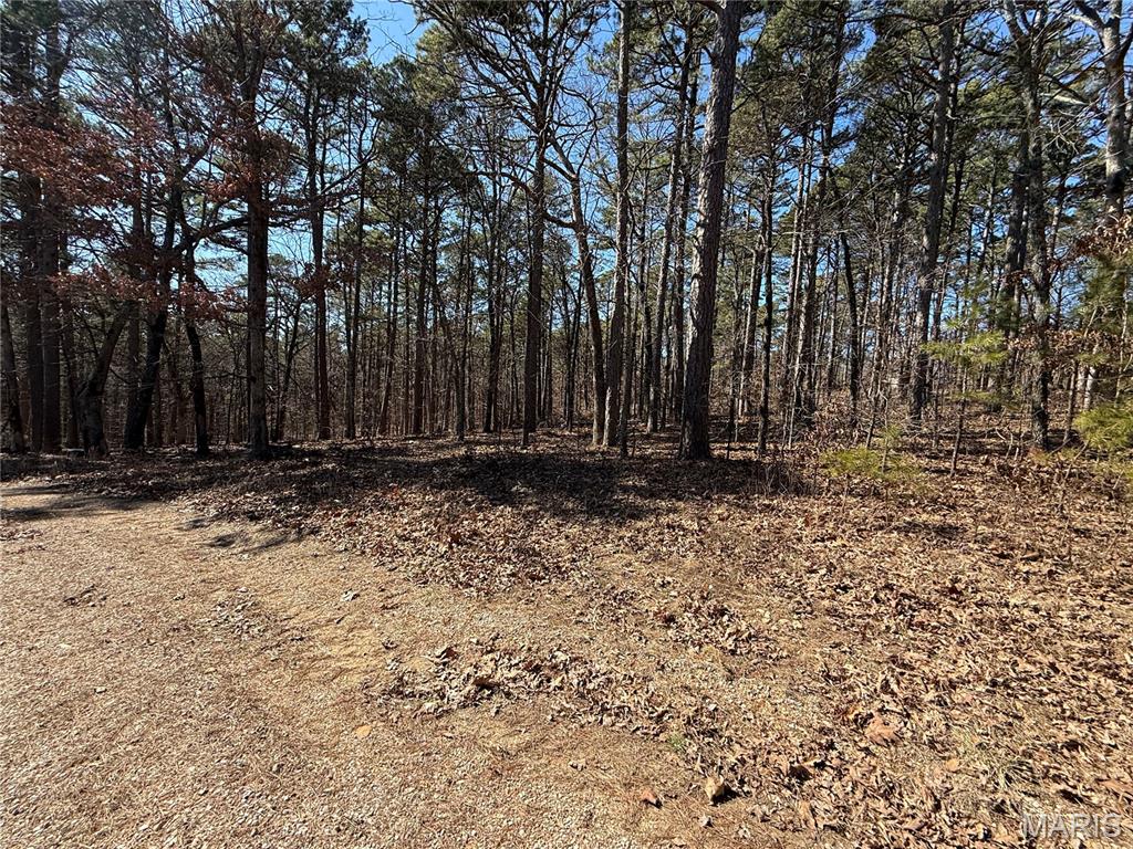 10066 Fish Hook Road Potosi, MO 63664 - Photo 4 of 12