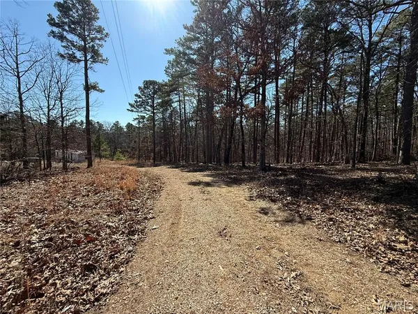 $18,500 | 10066 Fish Hook Road, Potosi, MO 63664